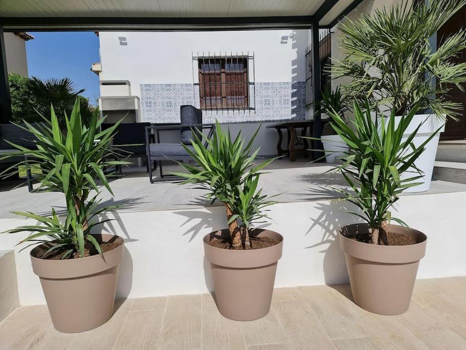 Villa On The Beach Playa Flamenca โอริอุเอลา ภายนอก รูปภาพ