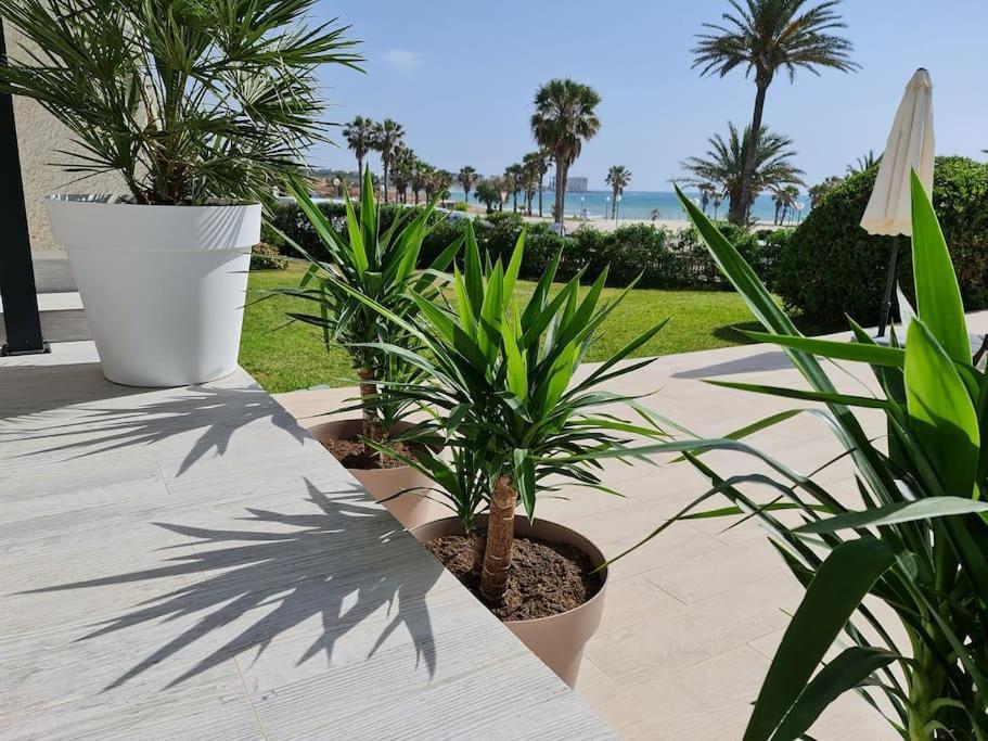Villa On The Beach Playa Flamenca โอริอุเอลา ภายนอก รูปภาพ